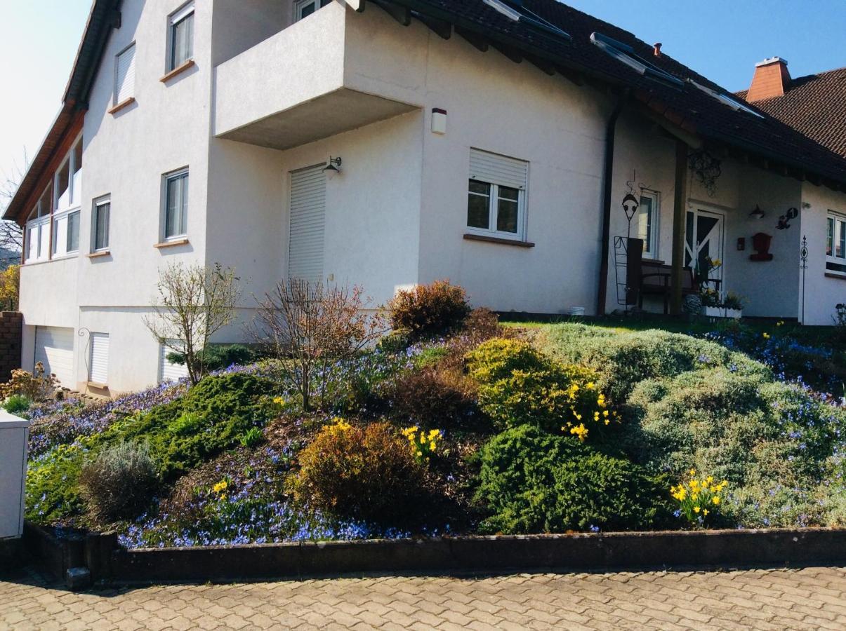 Appartement Fernblick à Zweibrücken Extérieur photo